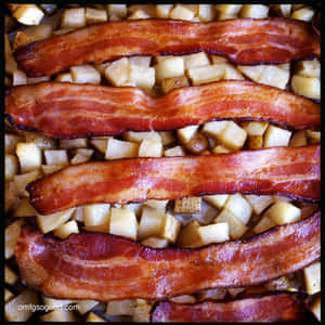 bacon-bilder — iPad (A16) Bakgrunner