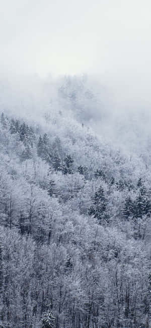 Snø iPhone — iPhone 18 Pro Max Bakgrunner