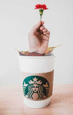 Hånd Starbucks iPhone — Lenovo Idea Tab Pro Gen 2 Bakgrunner