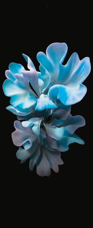 Blå blomsterkunst for Samsung S20 FE — Motorola Razr Bakgrunner