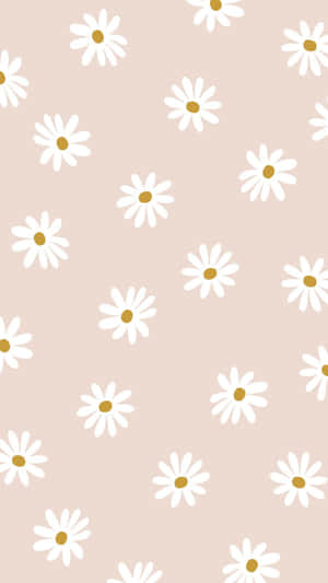Blomster i full blomst på en solrik dag
