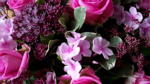 Rosa blomsterbakgrunn