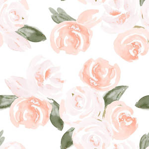 Boho Aesthetic rosa akvarellroser