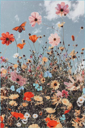 Boho-estetiske blomster og himmelen