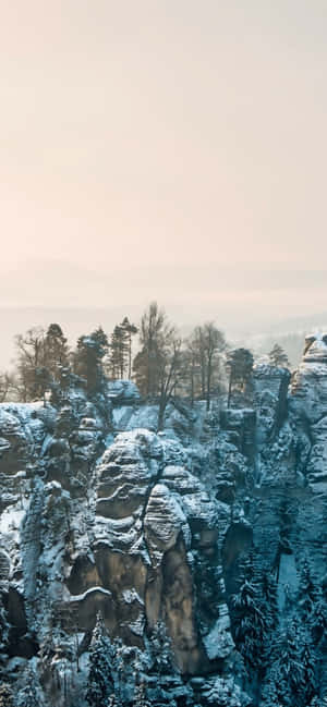 Iphone Xs Max vinterbakgrunn — iPhone 12 Bakgrunner