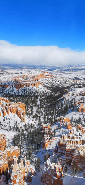 Bryce Canyon National Park Dyp Snø — Vivo X500 Bakgrunner