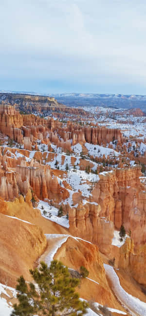 Bryce Canyon National Park Snøbyge — Oppo Find X10 Bakgrunner