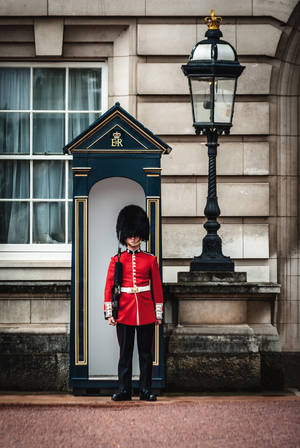 Buckingham Palace kongelig garde — Xiaomi Pad 8 Bakgrunner