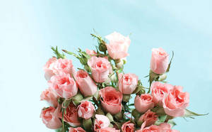 Bukett med blomster i pastellrosa estetikk