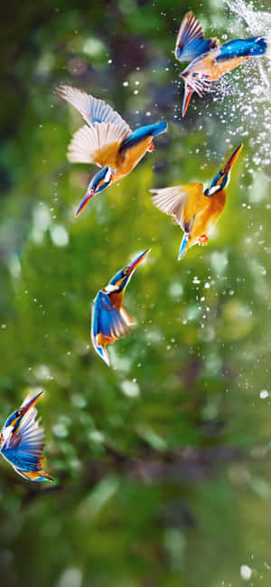 1284x2778 — Samsung Galaxy S20 Bakgrunner
