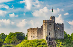 Cardiff Castle omgitt av trær — Skrivebordsestetikk Bakgrunner