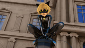 Cat Noir-bilder