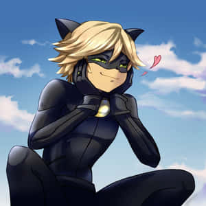 Bilder av Cat Noir