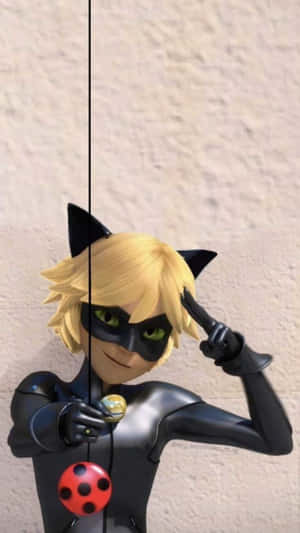 Cat Noir-bilder