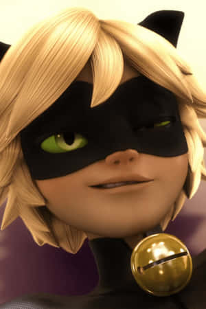 Cat Noir-bilder