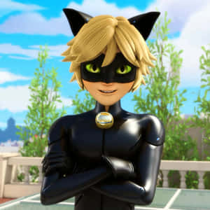 Bilder av Cat Noir