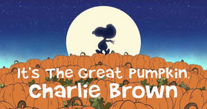 Charlie Brown Halloween Gresskar bakgrunnsbilde — Charlie Brown Halloween Bakgrunner