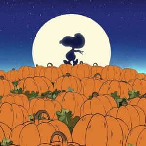 Charlie Brown Halloween-bilder