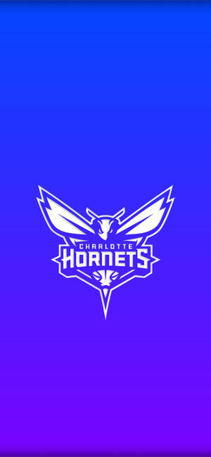Charlotte Hornets Gradient Blå bakgrunnsbilde — iPhone 17 Bakgrunner