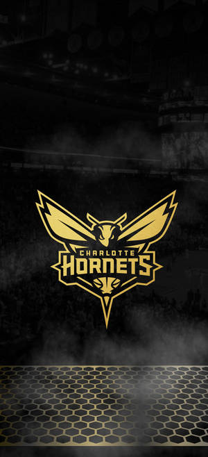 Charlotte Hornets i svart bakgrunnsbilde — iPhone 17 Pro Bakgrunner