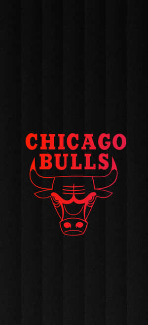 Chicago Bulls Telefon — Honor Magic8 RSR Porsche Design Bakgrunner
