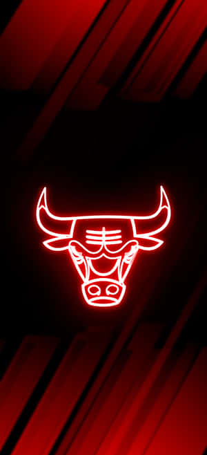 Chicago Bulls Phone — OnePlus 11 Bakgrunner