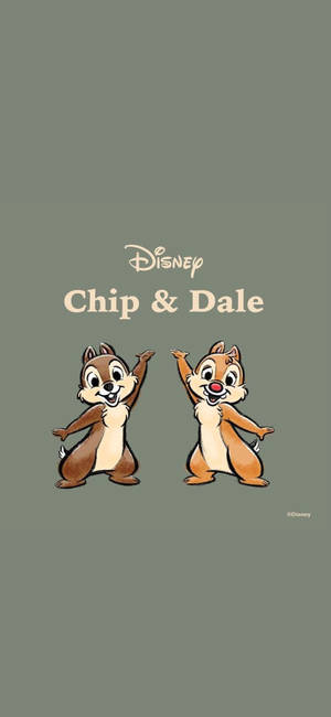 Chip N Dale på grå bakgrunn bakgrunnsbilde — iPhone 12 Bakgrunner