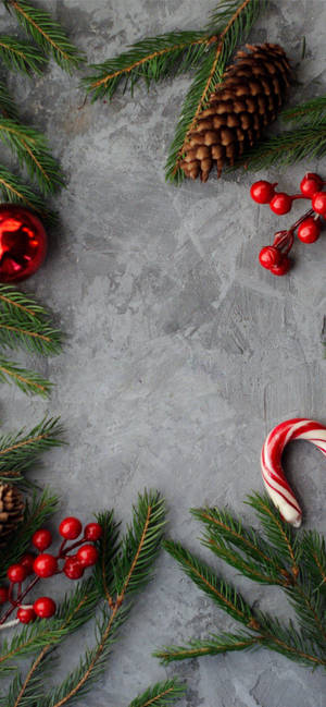 Christmas Candy Cane And Pines bakgrunn — iPhone 18 Pro Bakgrunner