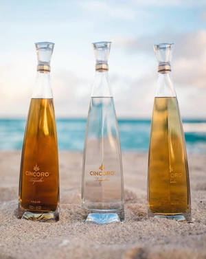 Cincoro Tequila-flaske på stranden — Sommer Bakgrunner