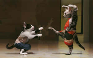Dansende katter i kostymer.jpg