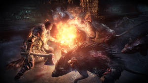 Dark Souls III Kjemperotter — Dark Souls 3 Bakgrunner