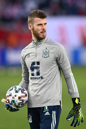 David De Gea grått spansk antrekk — Huawei MatePad Air (2025) Bakgrunner