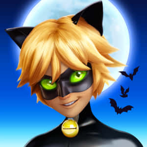 Cat Noir-bilder