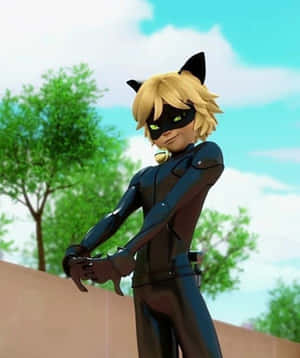 Cat Noir-bilder