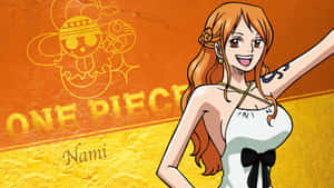 Nami One Piece — Nami One Piece Bakgrunner