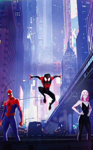 Spider Man trio Spider-Vese mobilbakgrunnsbilde — Galaxy Tab Bakgrunner