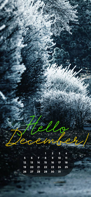 Desember 2021 Hvit jul bakgrunnsbilde. — iPhone 17 Bakgrunner