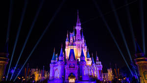 Disneyworld om natten — Neon lilla estetikk Bakgrunner