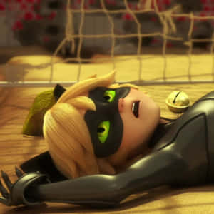 Cat Noir-bilder