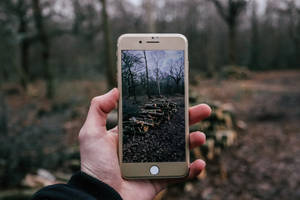 person som tar et bilde av ved med iPhone — iPhone 8 Bakgrunner