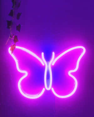 Neonestetiske bilder — Neon estetikk Bakgrunner