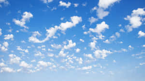 Blå himmel bakgrunn — Blå himmel Bakgrunner