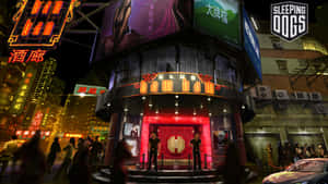 Sleeping Dogs-bakgrunn