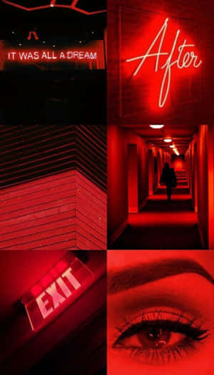 Neonestetisk bakgrunn — Neon estetikk Bakgrunner