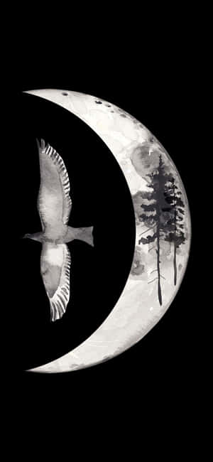 1080x2340 — Strand Bakgrunner