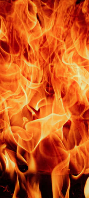 Flamme — ZTE Blade V80 Max Bakgrunner