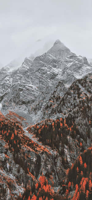 1170x2532 — Huawei nova 15 Ultra Bakgrunner