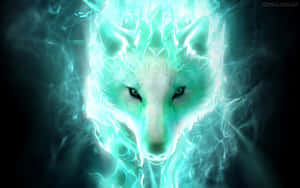 Super Cool Wolf — Ulv Bakgrunner