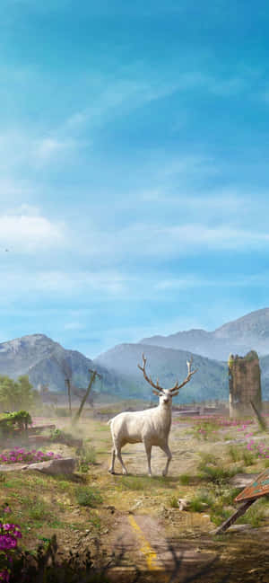 Iphone Xs Max Far Cry 5 Bakgrunn — Zenfone 11 Ultra Bakgrunner