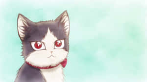 En huskatt som koser seg med en ung mann i et rom — Animekatt Bakgrunner